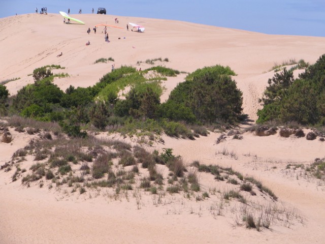 Jockey's Ridge