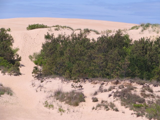 Jockey's Ridge