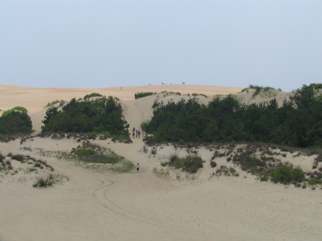 Jockey's Ridge